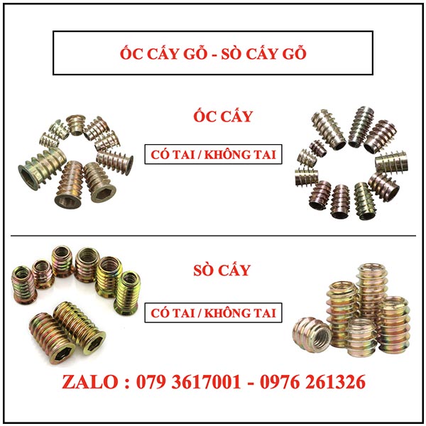 ỐC CẤY GỖ - SÒ CẤY GỖ